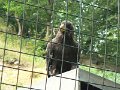 Vylet do ZOO 2014  31